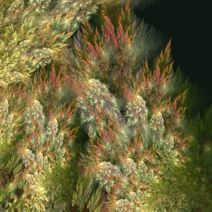 VEGETACIÓN FRACTAL